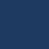 Navy Peony swatch