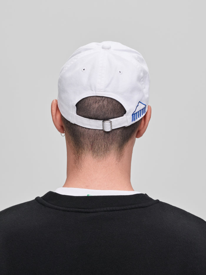 MAAP + PUBLIC POSSESSION 6 Panel Cap