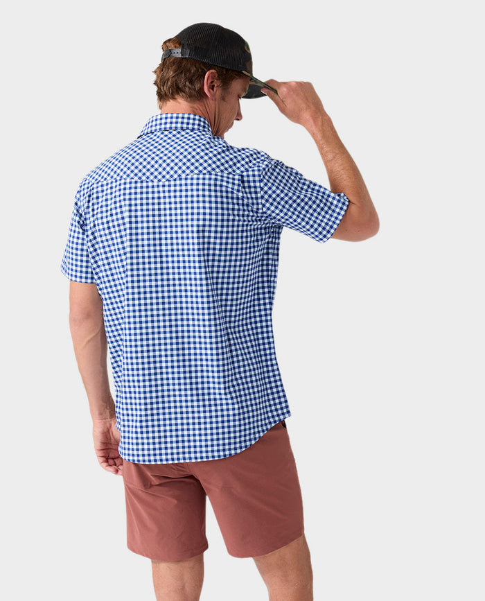 Cobalt Night Gingham