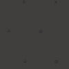 Raven Dot swatch